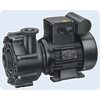 Насос без префильтра Speck Badu 21-40 54 HG, 220 B