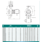     Bombas PSH Aquatic Park AP 100-315/A, 30kW, 380V