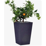  () Keter Rattan Planter M 55,4L, 