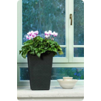   () Keter Rattan Planter S 23,6L,  